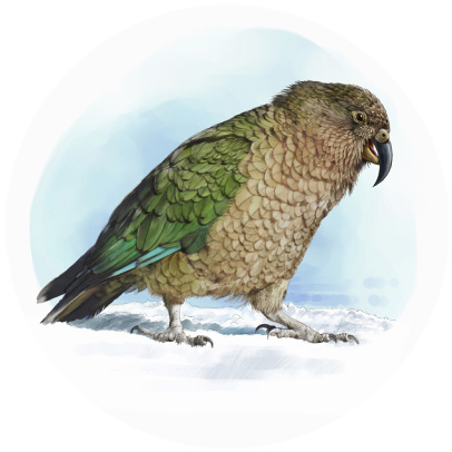 Kea