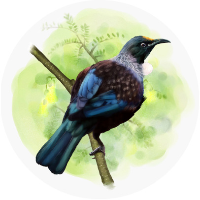 Tui